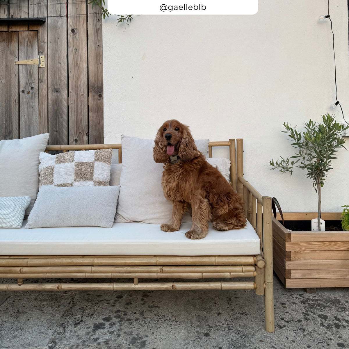 canape de jardin bambou et tissu beige vadella