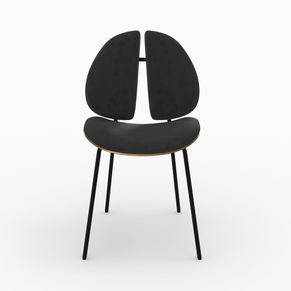 chaise en bois de noyer velours noir coccinelle unite_2